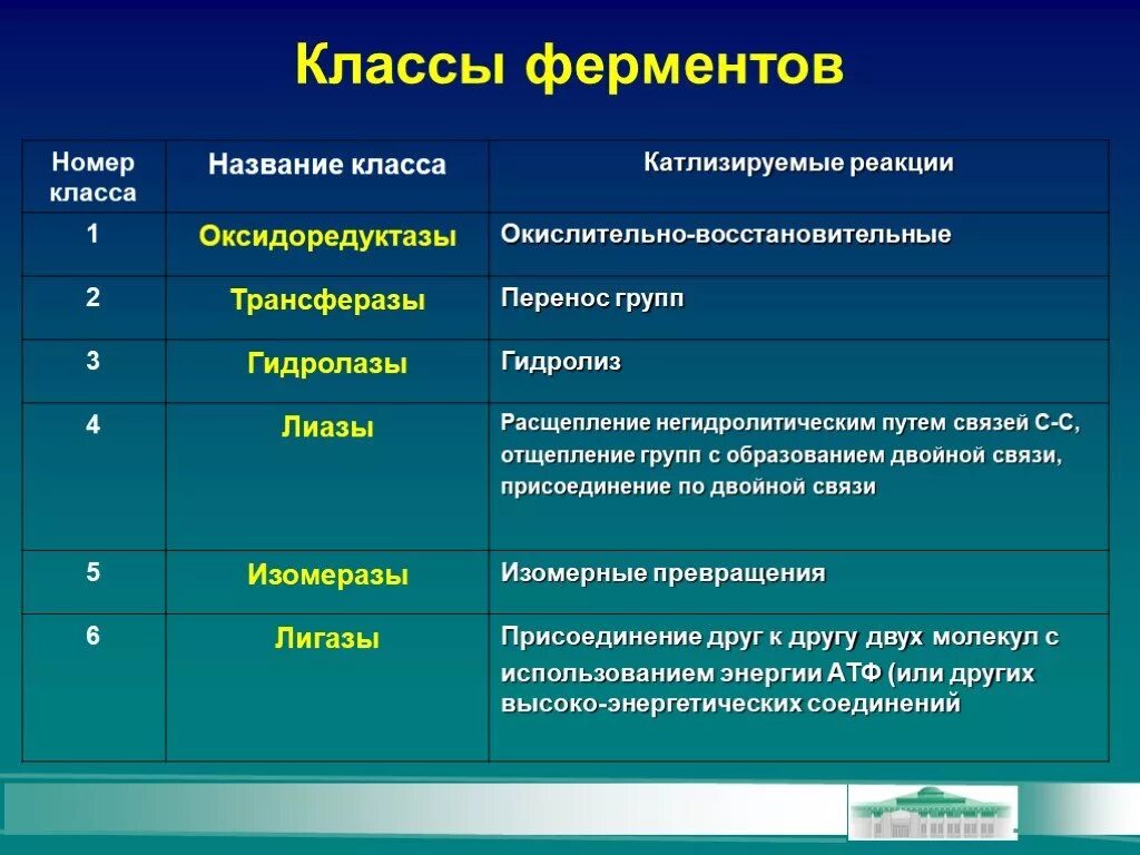 Тест ферменты биология 10 класс. Классы ферментов. основные классы ферментов. классы ферментов биохимия. классы ферментов таблица.