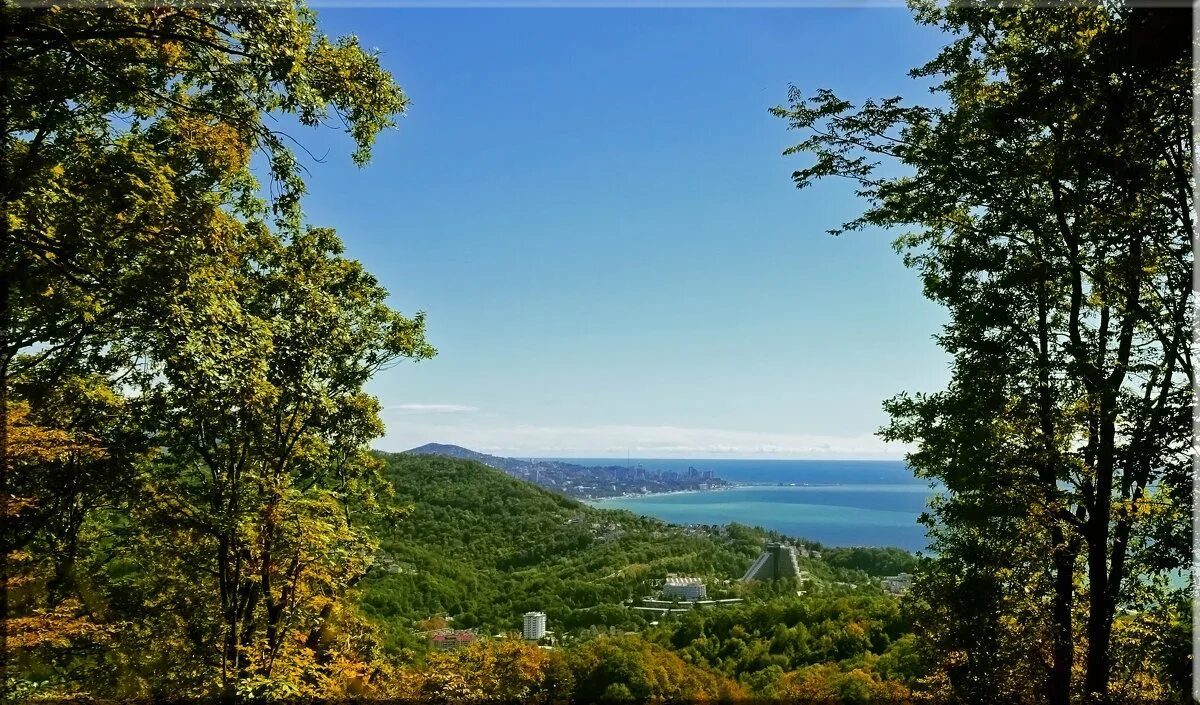 дагомыс панорама. бар есенин белгород. есенин дагомыс. сергей александрович есиней. сочи дагомыс оздоровительный комплекс дагомыс.