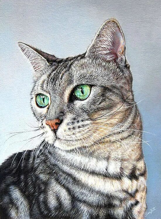 Кошка мс. MS. Cat художник. Арты Леонардо кот. Такие разные кошки в произведениях искусства. Коты безаринталы.
