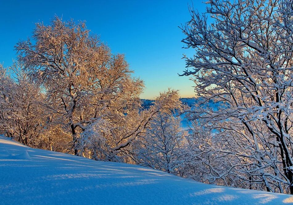 Зима картинки. Природа зима. Зима фото. Зимние фото. Картинки на рабочий стол зима природа.