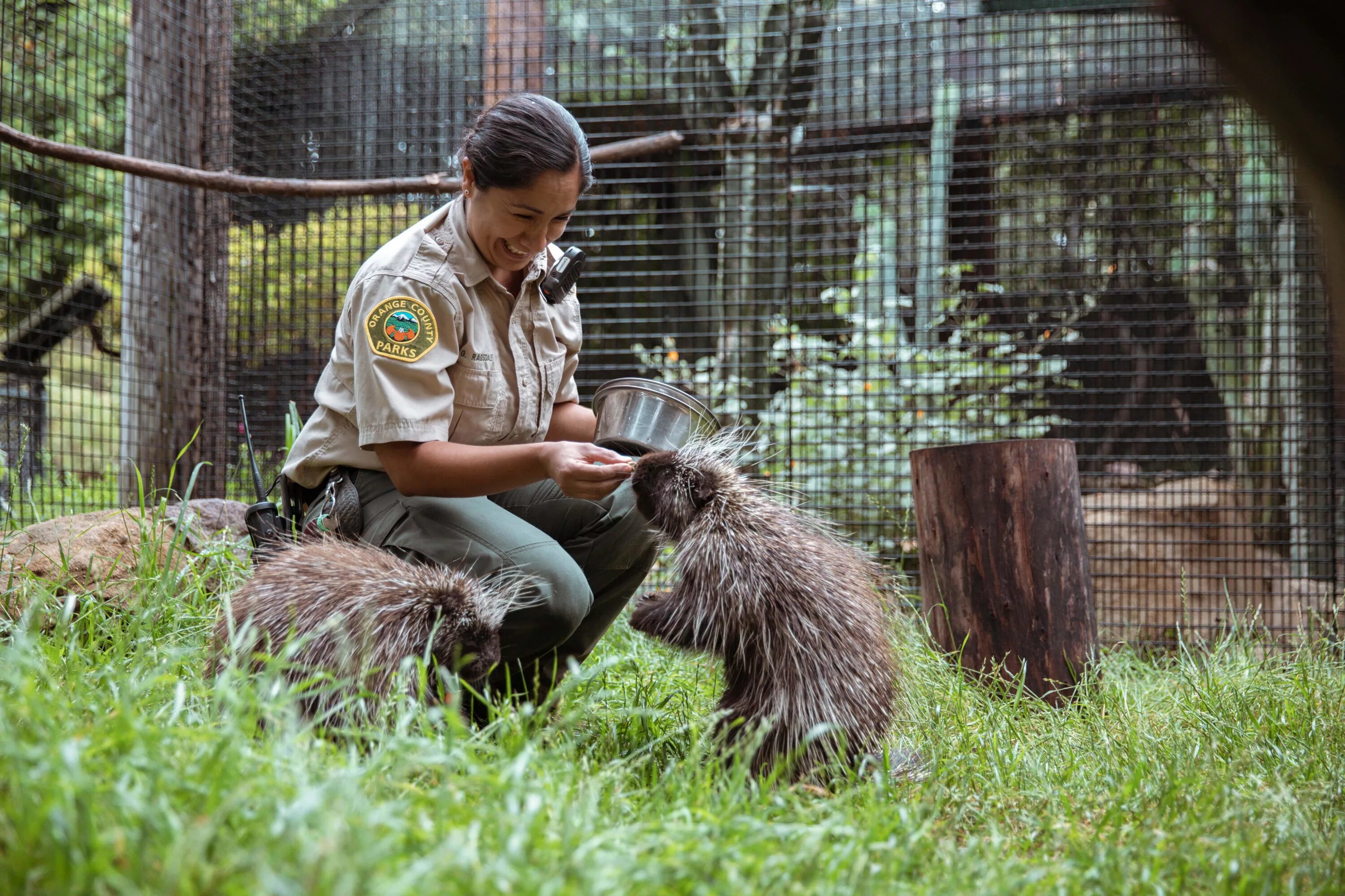 Содержание зоопарка. Zookeeper. кипер смотритель зоопарка. зоопарк. служитель зоопарка.