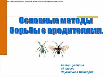 Методы борьбы с насекомыми