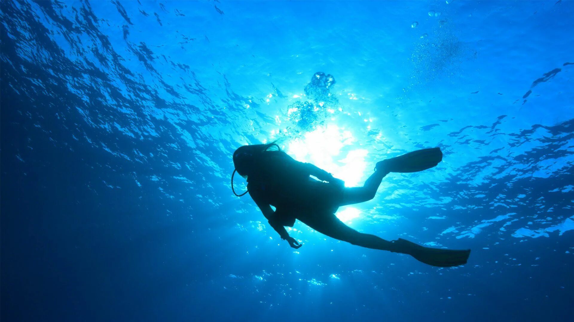 Sea dive. Скуба дайвинг. Погружение под воду. Подводное плавание. Человек в акваланге.
