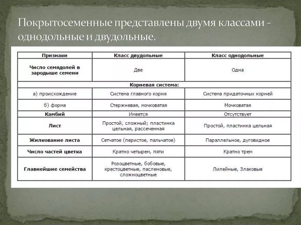 Семейство злаковые таблица. Систематика цветковых растений однодольных. Классификация однодольных и двудольных растений. Конспект по биологии 6 класс классификация покрытосеменных. Классификация однодольных растений схема.