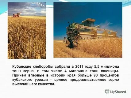 Профессии кубани