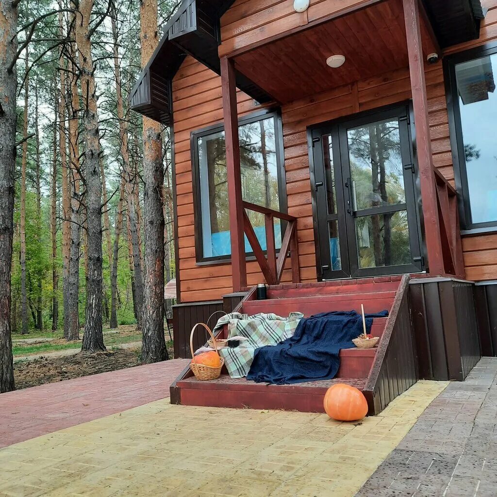 кафе сосны стерлитамак ольховка. деревья кировской области сосны. хвойная 8 стерлитамак. хвойная 10 стерлитамак. сосновый и еловый бор вологда.