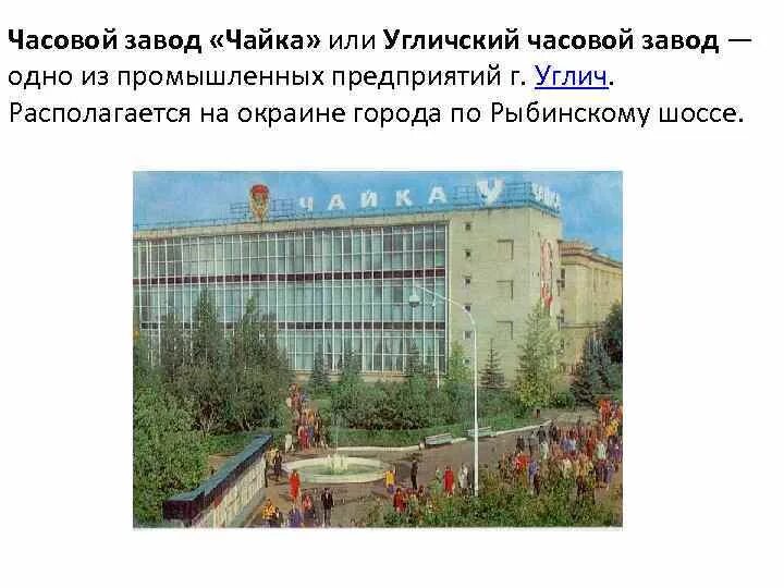 В каком городе находится завод чайка