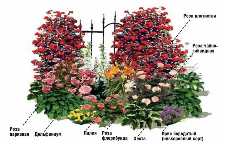 Пин от пользователя Marina на доске Схемы Цветники Flower gardens Flower Beds Sc