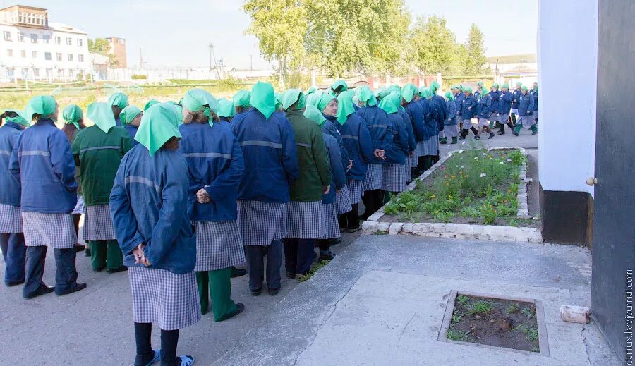 Женщины в исправительных учреждениях. 29 Исправительная колония Пригорск. Шахово ИК 6 женская колония. Женская колония Хакасия. Женская колония строгого режима ИК-28.