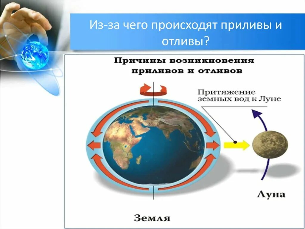 Почему происходят отливы. Приливы и отливы. Приливы и отливы схема. Причины возникновения приливов. Приливы и отливы презентация.