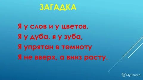 Про корень слова