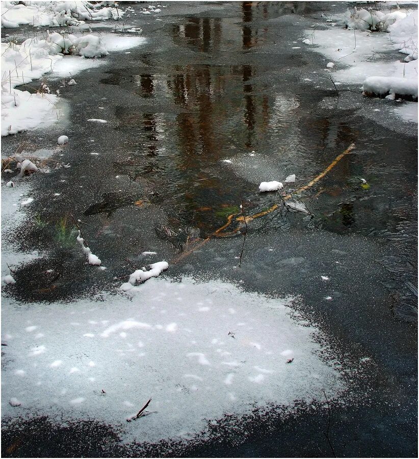 Снег растаял деад. Бегут ручьи Журчат. Тает снег. Снег растаял.