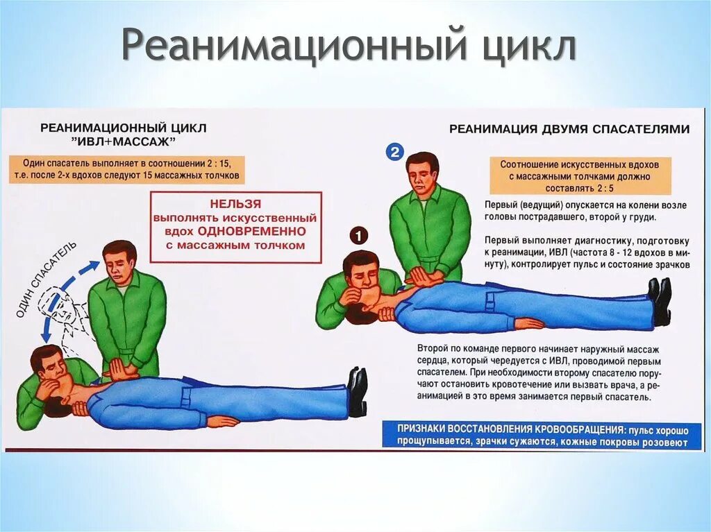 Реанимационные действия не проводятся. Сердечно-легочная реанимация одним и двумя спасателями. Алгоритм оказания сердечно-легочной реанимации 1 спасатель. Сердечно-легочная реанимация двумя спасателями алгоритм. Сердечно легочная реанимация при двух спасателях.