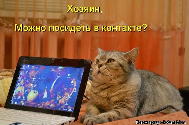 А можно посидеть. А можно посидеть