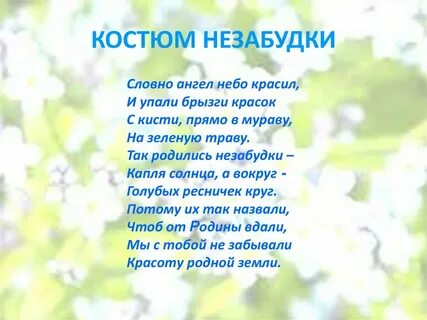 Текст слов незабудка