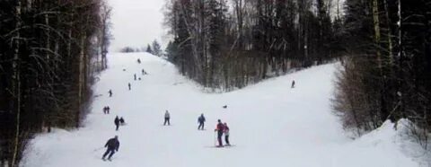 Лоза камеры
