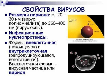 4 свойства вируса