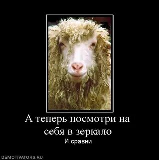 Рожу посмотри