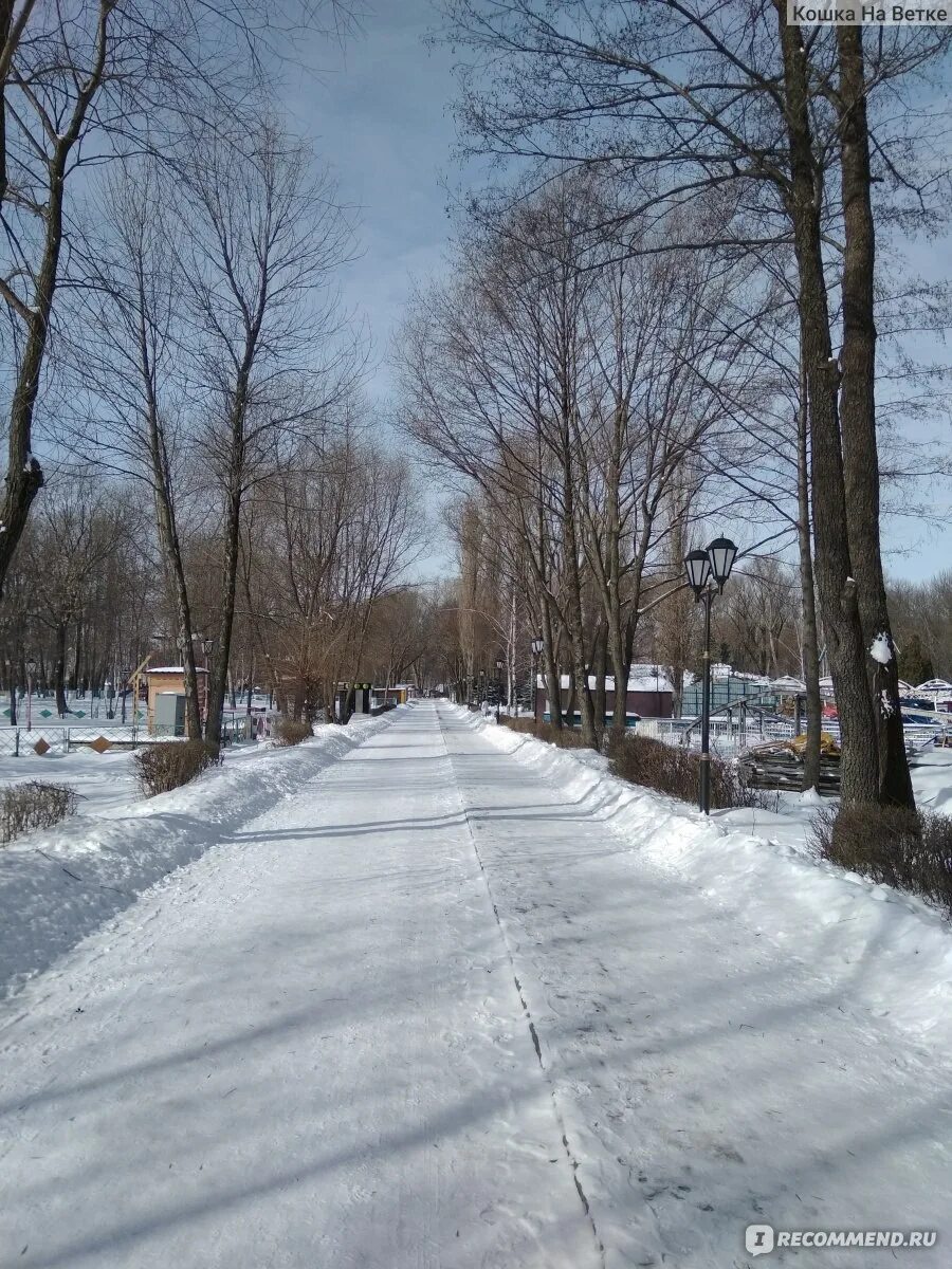 Зимний пейзаж липецка парк победы. Быханов сад липецк зимой. Парки липецка зимой. Заснеженный город липецк. Парк победы липецк.
