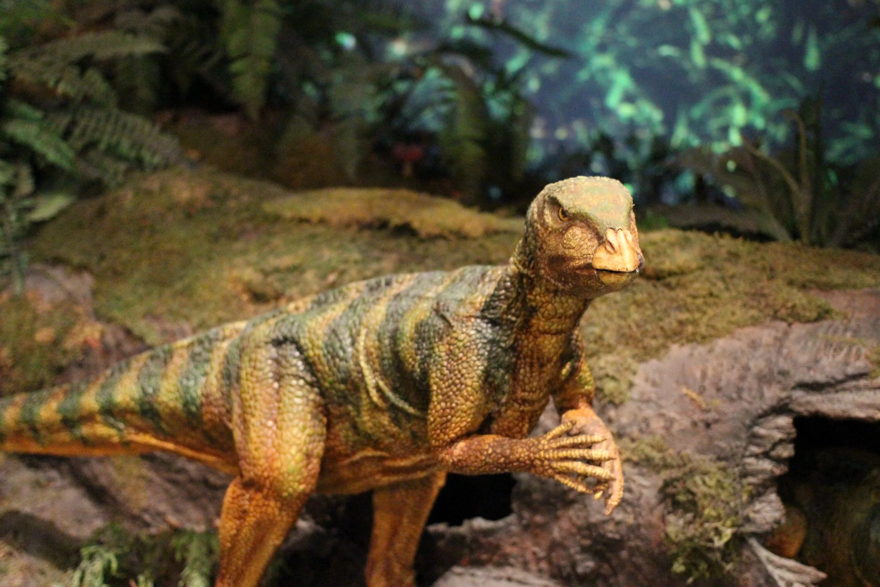 Варан динозавр. Древние пресмыкающиеся, древние рептилии. Динозавры и ящеры. Динозавры древние рептилии.