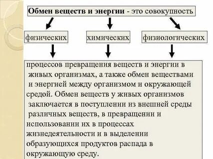 Обмен представляет собой