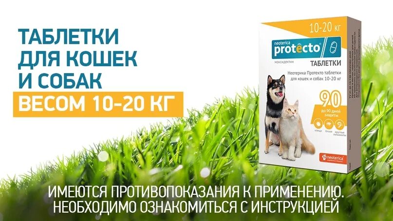 Протекто для собак от клещей. Протекто таблетки для собак. протекто от клещей таблетки. неотерика протекто таблетки. неотерика протекто таблетки для кошек.
