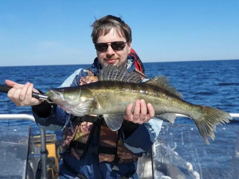 Рыбинское водохранилище рыбалка. Охота на Рыбинском водохранилище. Рыбинское водохранилище рыбалка с детьми. Сирота рыбалка на Рыбинке. Русское водохранилище рыбалка