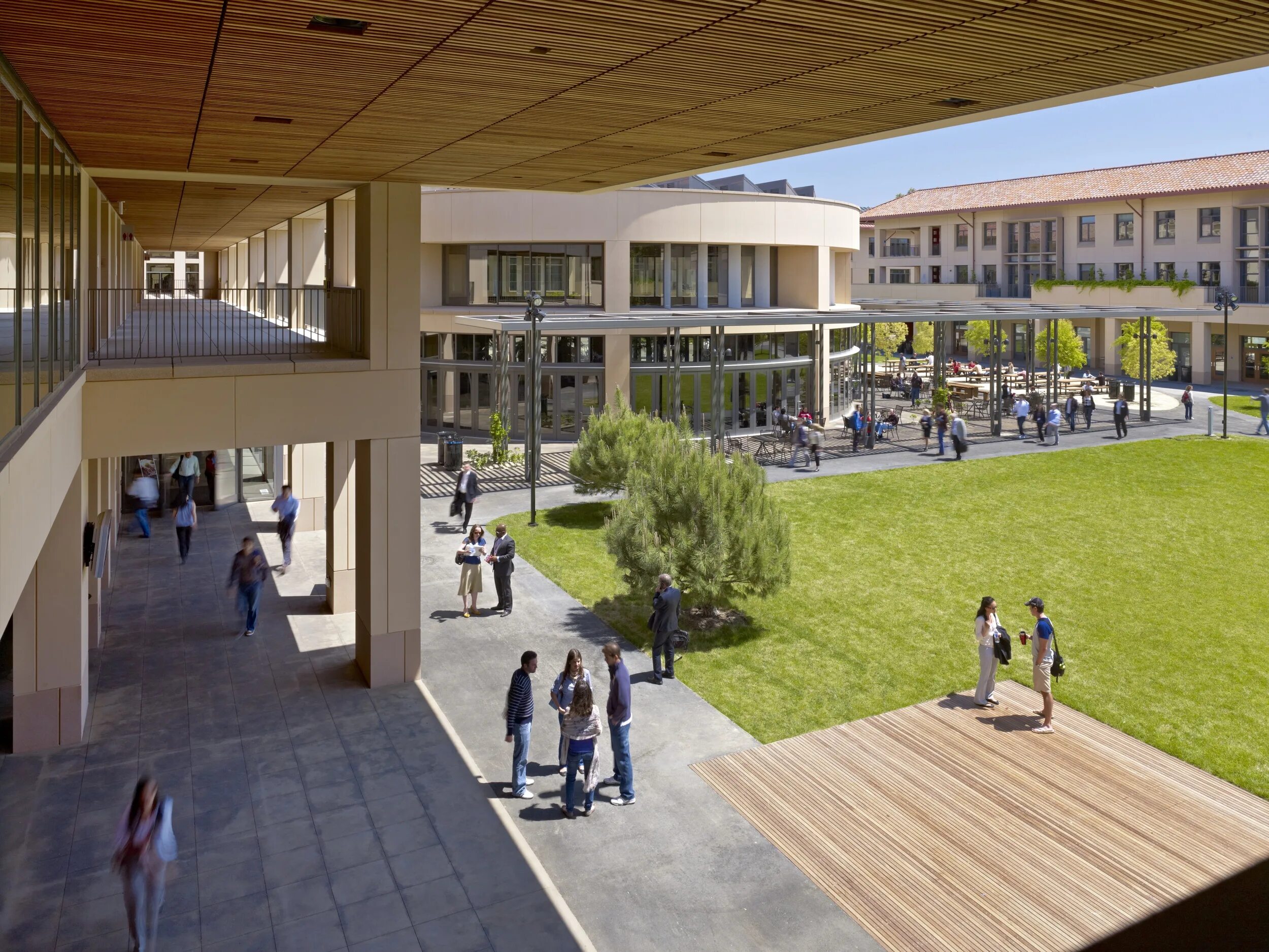 Stanford school