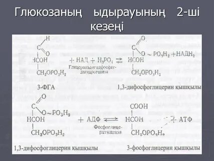 Клиторальды сорғышты кесу фотосы
