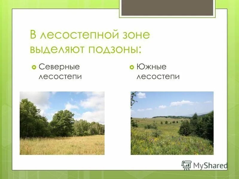 географическое положение лесостепи. географическое положение лесостепи. географическое местоположение лесостепь. степи и лесостепи евразии. природные зоны россии лесостепи.