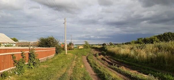 тамбовская обл сосновский р он с дельная дубрава. погода дельная дубрава тамбовская область. погода дельная дубрава тамбовская область. погода дельная дубрава тамбовская область.