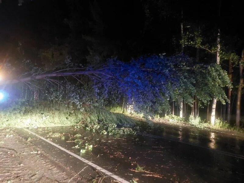 Иллюстрации к 3 действию горе от ума. Явления в горе от ума. Явление 12. Явление 12. Инфографика по природное явление.