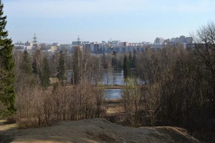 Мо шувалово-озерки. Мо шувалово-озерки границы. Озерки (санкт-петербург, звёздная улица, 8). Мо шувалово-озерки. Шувалово-озерки муниципальный округ.