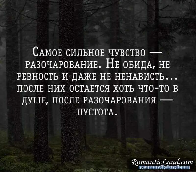 Пустая жизнь цитаты. Душевная пустота цитаты. внутри пустота цитаты. фразы про душевную пустоту. фразы про пустоту внутри.