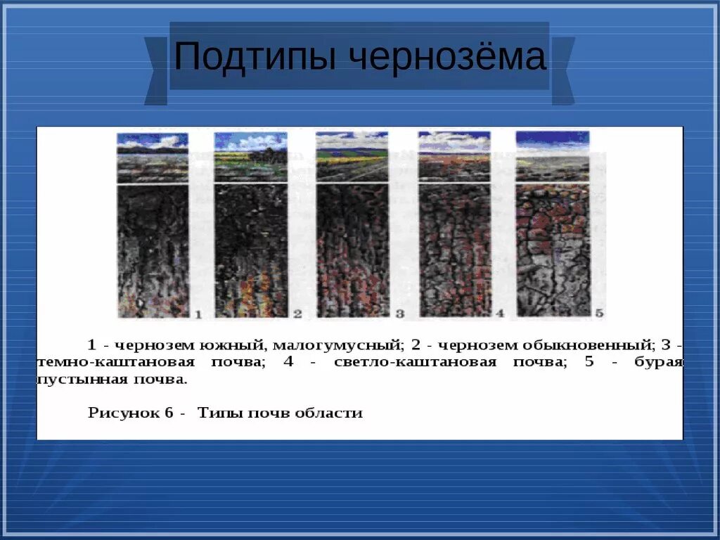 Где встречается чернозем. Тип почвы чернозем. тип гумуса чернозёмных почв. почвенные горизонты черноземных почв. строение чернозема обыкновенного.