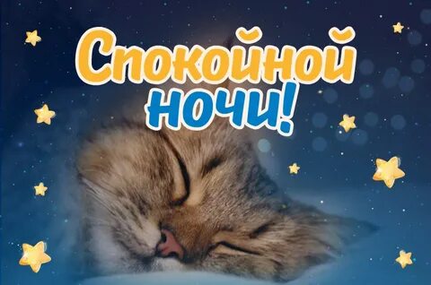 Видео спокойной ночи новые