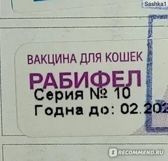 Прививка рабифел