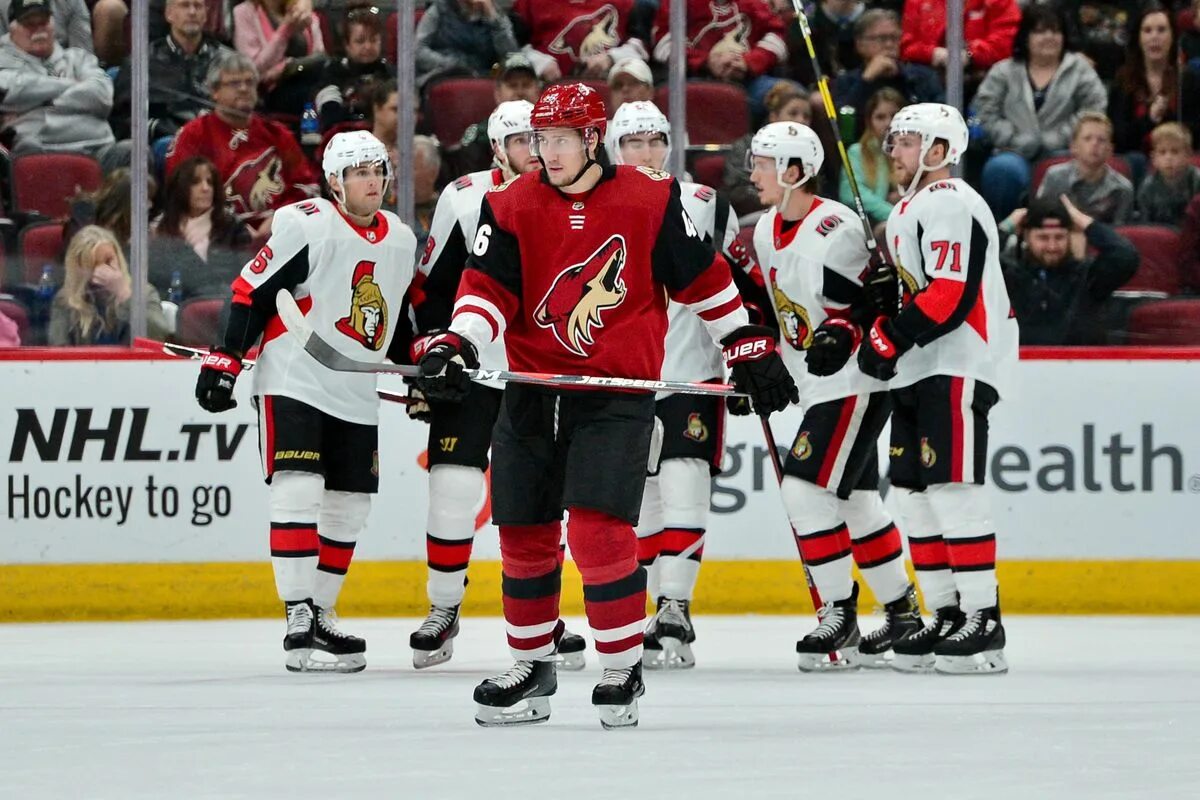 Нхл оттава сенаторз. Josh norris ottawa senators. бингхэмтон сенаторс. оттава сенаторс аризона талисманы.