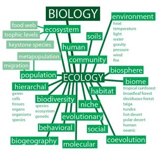 Branches of science