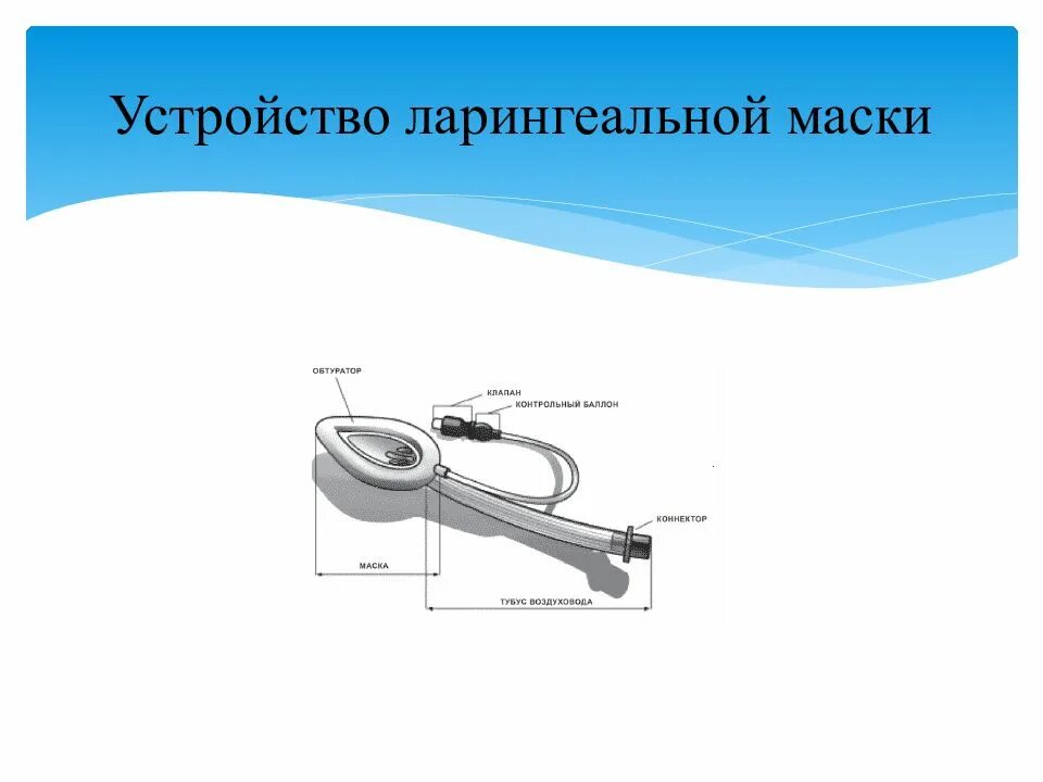 Ларингеальная маска презентация. Строение ларингеальной маски. Ларингеальная маска устройство. Ларингеальная маска техника постановки. Размеры ларингеальных масок