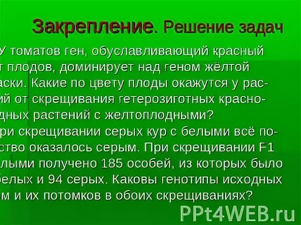 Решением закреплено