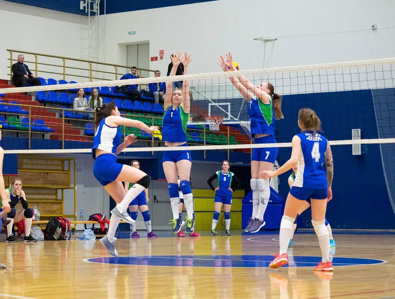 волейбол студенты. студенческая волейбольная ассоциация. игра в волейбол студенты. волейбол ассоциации. студенческий волейбол.