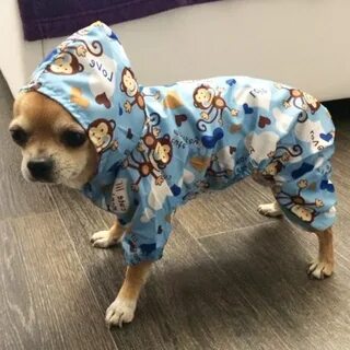 Комбинезон собачка