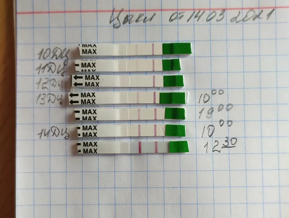 Динамика тестов на овуляцию овуплан. Тест на овуляцию OVUPLAN, тест-полоски. Тест на овуляцию OVUPLAN. Тест на овуляцию OVUPLAN №5. Анализ на овуляцию