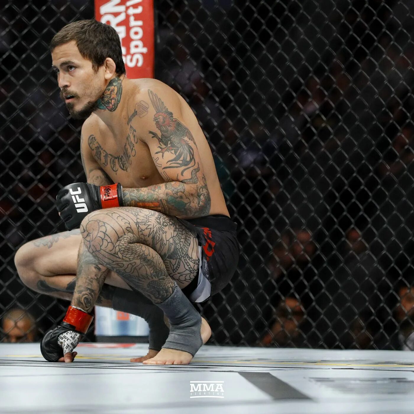 Marlon Vera UFC. Chito Vera UFC.