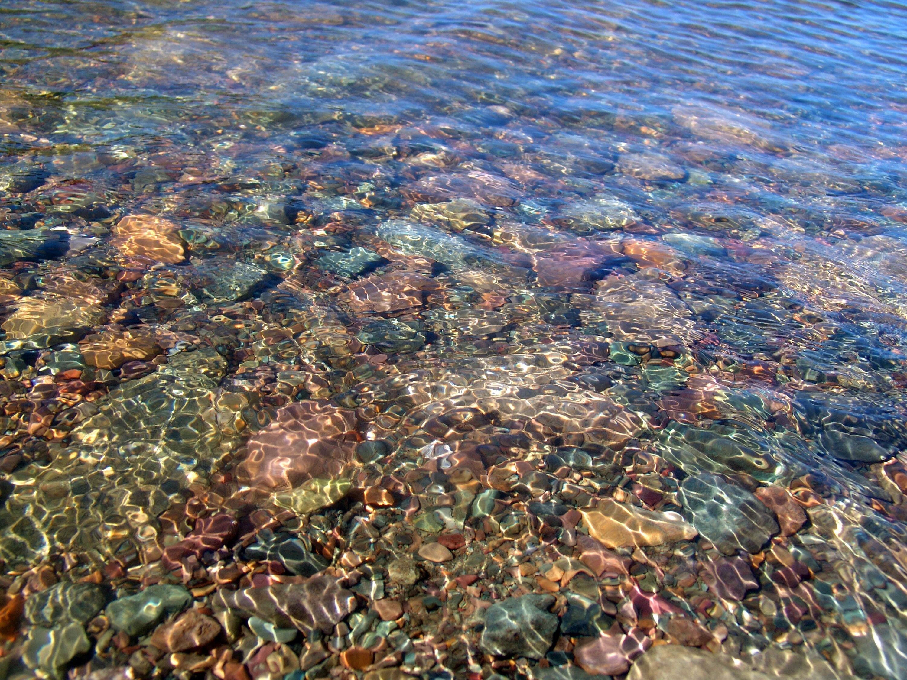 И тихая прозрачная вода. Телецкое озеро чистота воды. Прозрачная вода. Прозрачное море. Прозрачное озеро.