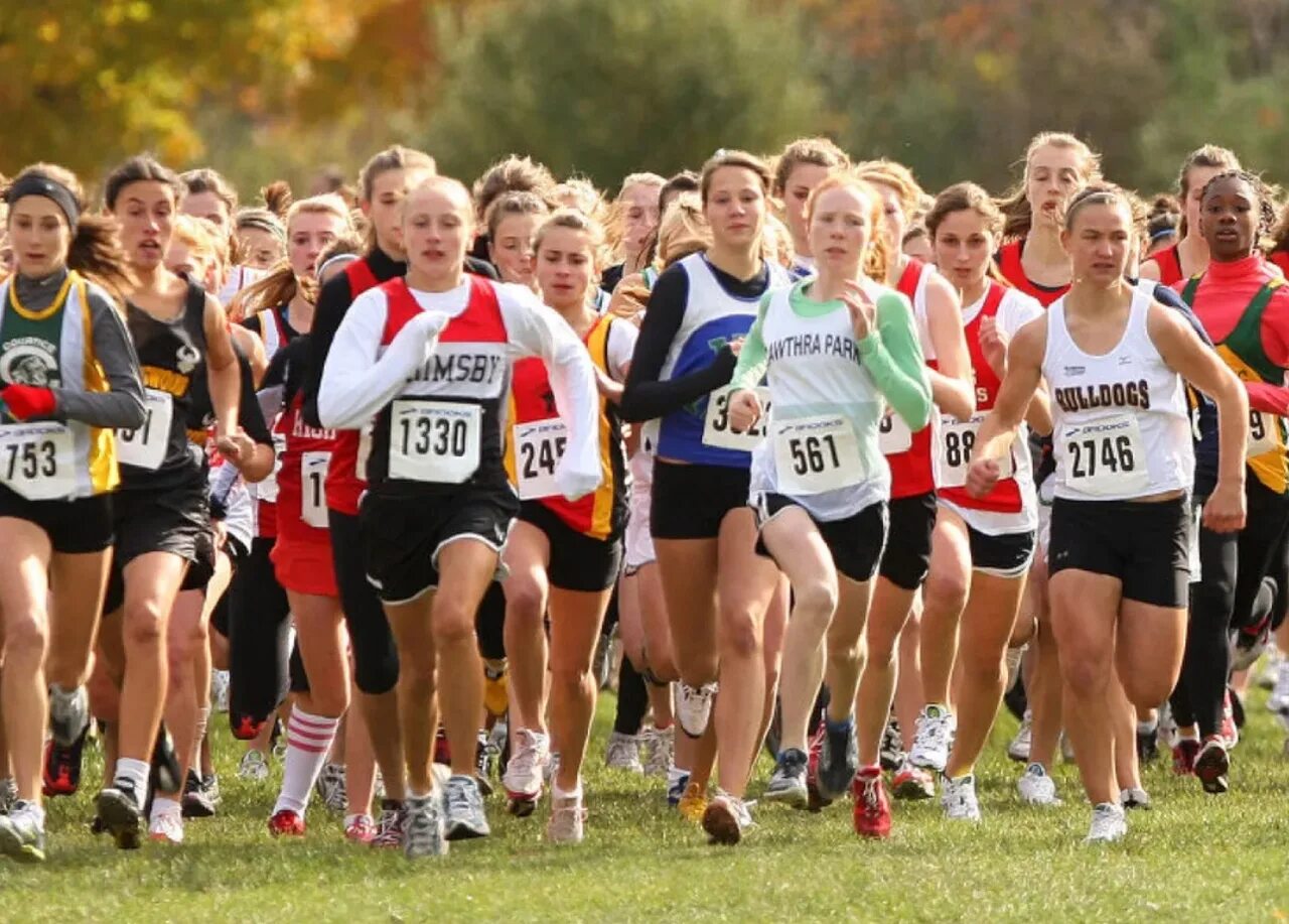 Кросс что это такое. Cross Country Race. Кросс Кантри марафон. Кросс бег. Кросс вид спорта.