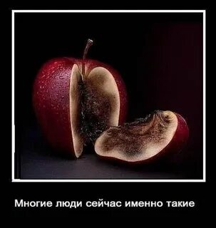 В разных даже самых не