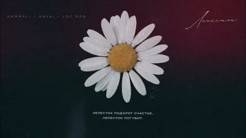 Лепесток любит текст