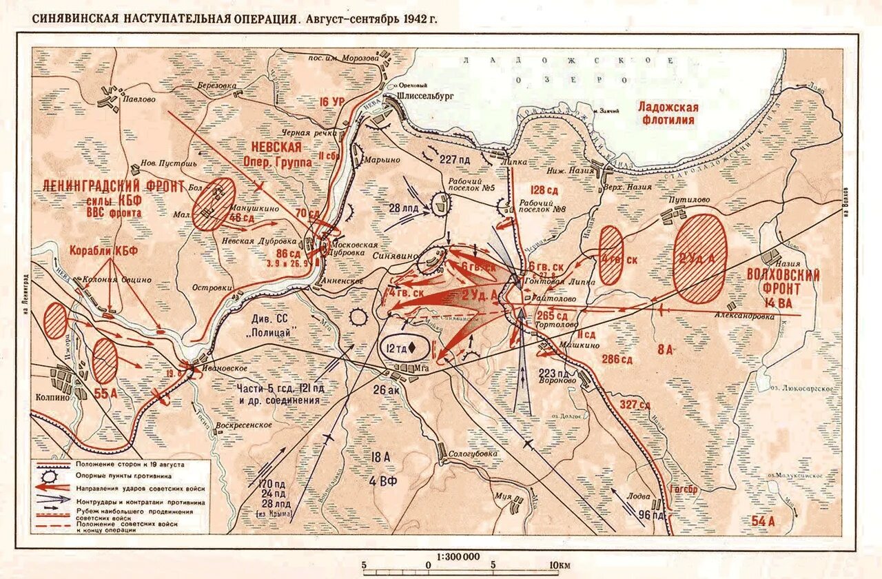 Синявинская наступательная операция 1942. Синявинская операция 1942 карта. Синявинская наступательная операция 1942 года карта. Синявинской наступательной операции 1942 года.